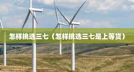 怎样挑选三七（怎样挑选三七是上等货）