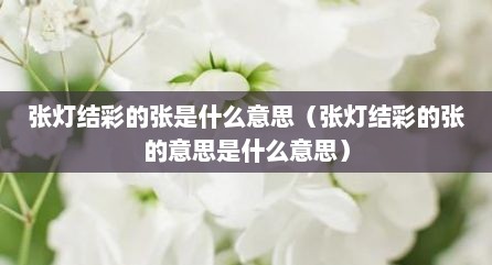 张灯结彩的张是什么意思（张灯结彩的张的意思是什么意思）