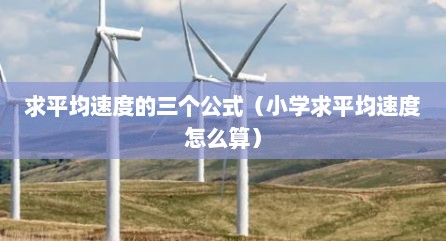 求平均速度的三个公式（小学求平均速度怎么算）