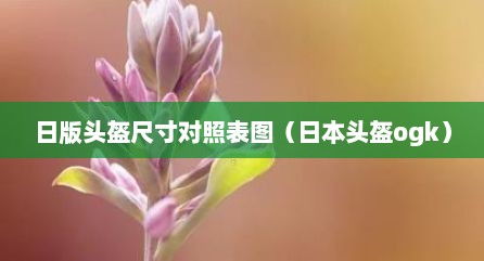 日版头盔尺寸对照表图（日本头盔ogk）