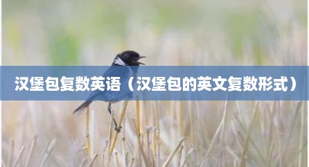 汉堡包复数英语（汉堡包的英文复数形式）
