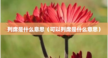 列席是什么意思（可以列席是什么意思）
