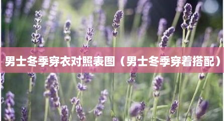 男士冬季穿衣对照表图（男士冬季穿着搭配）