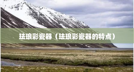 珐琅彩瓷器（珐琅彩瓷器的特点）