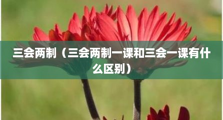 三会两制（三会两制一课和三会一课有什么区别）