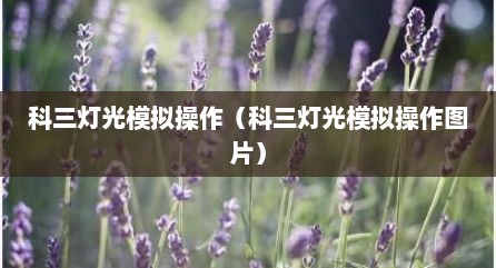 科三灯光模拟操作（科三灯光模拟操作图片）