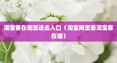 淘宝客在哪里进去入口（淘宝网里面淘宝客在哪）