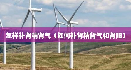 怎样补肾精肾气（如何补肾精肾气和肾阳）