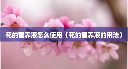 花的营养液怎么使用（花的营养液的用法）