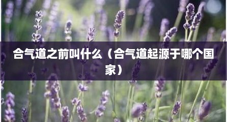 合气道之前叫什么（合气道起源于哪个国家）
