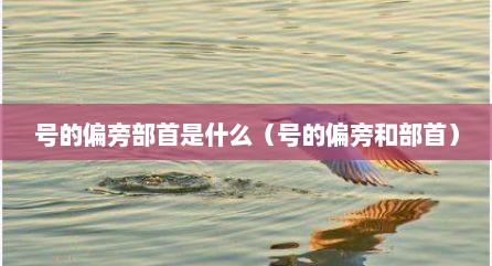 号的偏旁部首是什么（号的偏旁和部首）