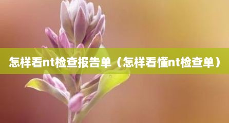 怎样看nt检查报告单（怎样看懂nt检查单）