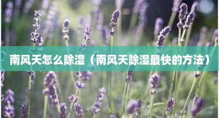 南风天怎么除湿（南风天除湿最快的方法）