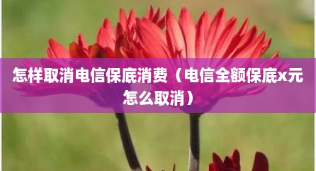 怎样取消电信保底消费（电信全额保底x元怎么取消）