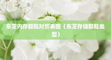 东芝内存颗粒对照表图（东芝存储颗粒类型）