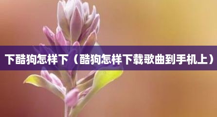下酷狗怎样下（酷狗怎样下载歌曲到手机上）