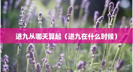 进九从哪天算起（进九在什么时候）