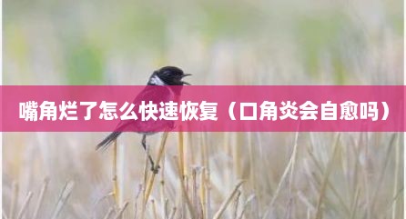 嘴角烂了怎么快速恢复（口角炎会自愈吗）