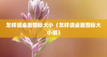 怎样调桌面图标大小（怎样调桌面图标大小啊）