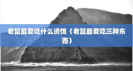 老鼠最爱吃什么诱饵（老鼠最爱吃三种东西）