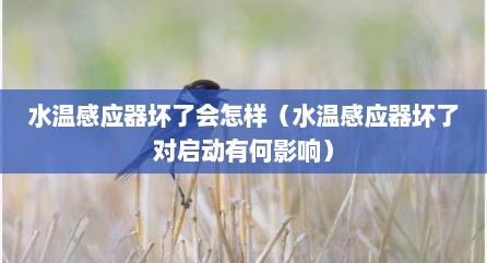 水温感应器坏了会怎样（水温感应器坏了对启动有何影响）