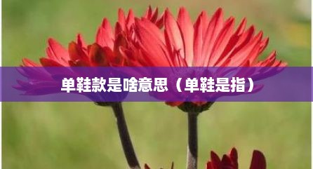 单鞋款是啥意思（单鞋是指）