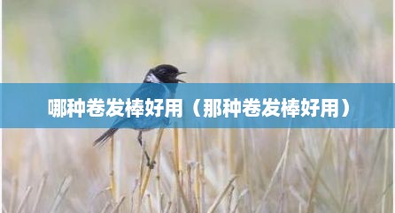 哪种卷发棒好用（那种卷发棒好用）