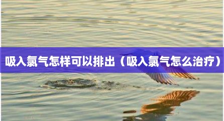 吸入氯气怎样可以排出（吸入氯气怎么治疗）