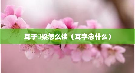 耳子屲梁怎么读（耳字念什么）