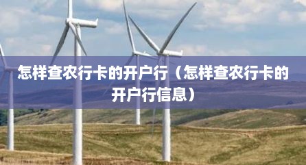 怎样查农行卡的开户行（怎样查农行卡的开户行信息）