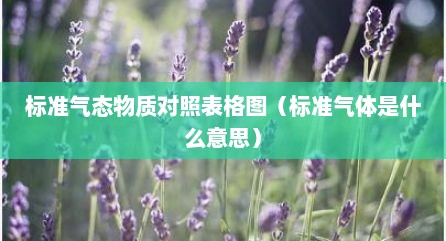 标准气态物质对照表格图（标准气体是什么意思）