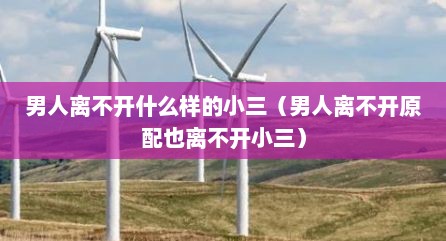 男人离不开什么样的小三（男人离不开原配也离不开小三）