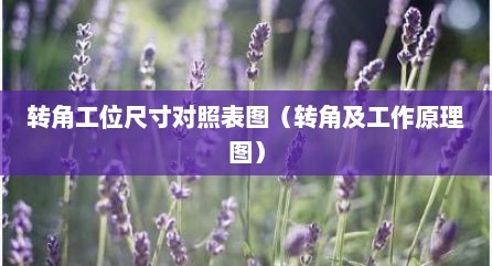 转角工位尺寸对照表图（转角及工作原理图）