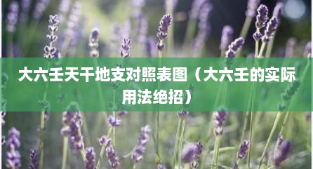 大六壬天干地支对照表图（大六壬的实际用法绝招）
