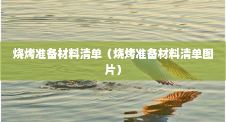烧烤准备材料清单（烧烤准备材料清单图片）