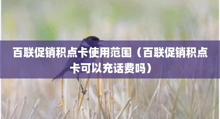 百联促销积点卡使用范围（百联促销积点卡可以充话费吗）