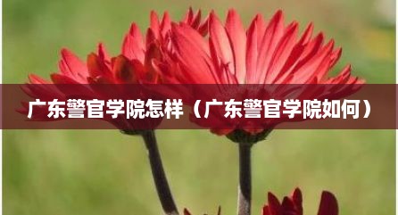 广东警官学院怎样（广东警官学院如何）