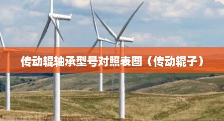 传动辊轴承型号对照表图（传动辊子）