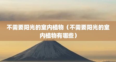 不需要阳光的室内植物（不需要阳光的室内植物有哪些）