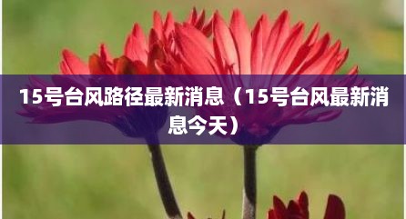 15号台风路径最新消息（15号台风最新消息今天）