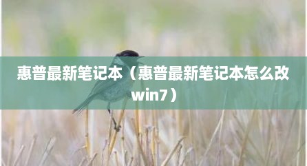 惠普最新笔记本（惠普最新笔记本怎么改win7）