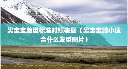 男宝宝脸型标准对照表图（男宝宝脸小适合什么发型图片）