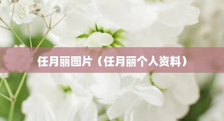 任月丽图片（任月丽个人资料）