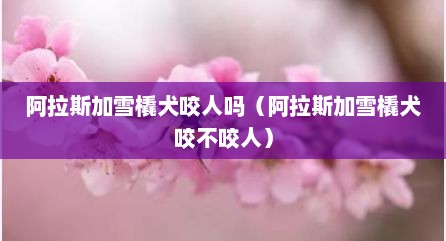 阿拉斯加雪橇犬咬人吗（阿拉斯加雪橇犬咬不咬人）