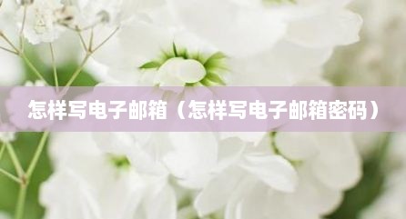 怎样写电子邮箱（怎样写电子邮箱密码）