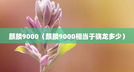 麒麟9000（麒麟9000相档于骁龙多少）