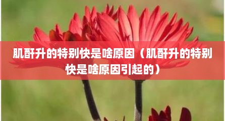 肌酐升的特别快是啥原因（肌酐升的特别快是啥原因引起的）