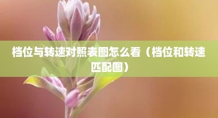 档位与转速对照表图怎么看（档位和转速匹配图）