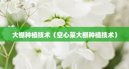 大棚种植技术（空心菜大棚种植技术）