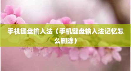手机键盘输入法（手机键盘输入法记忆怎么删除）